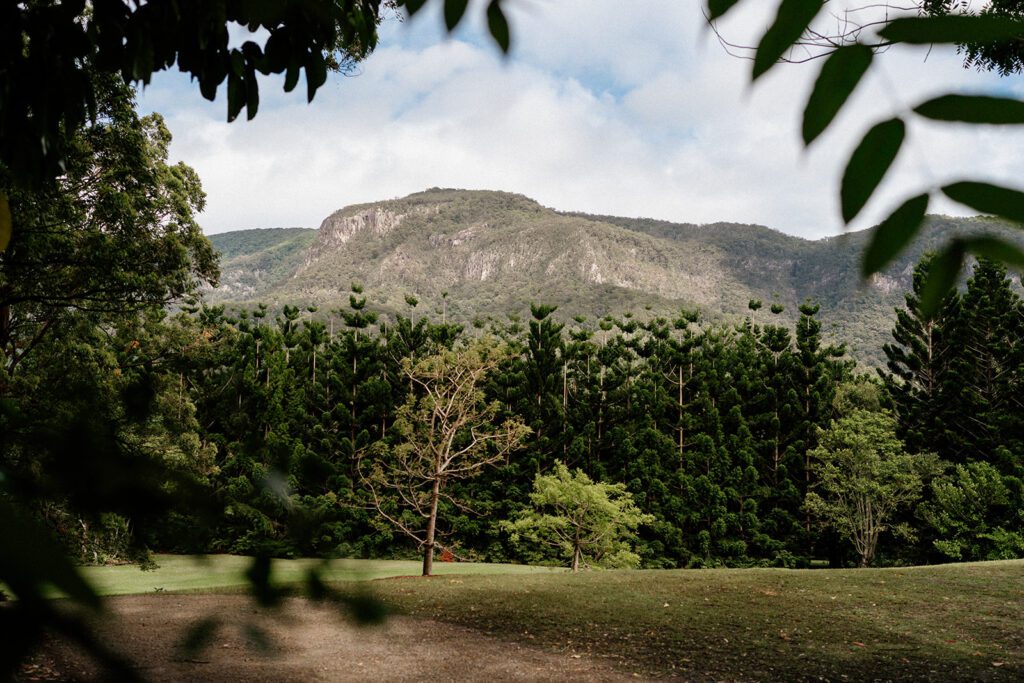 The Bower Estate - Gold Coast Hinterland Wedding venue. Gold Coast wedding photographer